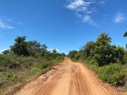  Brasilien riesengrosses 3'000 Ha Tiefpreis - Grundstück mit Rohstoffen in der Nähe von Presidente Figueiredo AM Grundstück