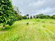  Brasilien riesengrosses 1\\\'000 Ha Tiefpreis - Grundstück mit Rohstoffen Grundstück kaufen