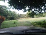  Brasilien riesengrosses 3\'000 Ha Tiefpreis - Grundstück Gewerbe kaufen