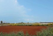 Deryneia 6855m2 plot of agricultural land in popular Deryneia village - LDER152This level plot is surrounded by established farms and and