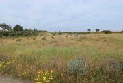 Frenaros 1508m2 plot of Agricultural land by Frenaros village - LFRE158.Located just off the Frenaros to Vrysoulles road, accessible by