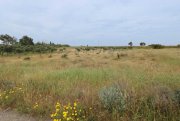 Frenaros 1508m2 plot of Agricultural land by Frenaros village - LFRE158.Located just off the Frenaros to Vrysoulles road, accessible by