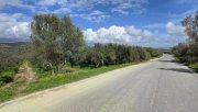Kamilari Kreta, Olivenhain Grundstück 6.000 m² nahe dem Dorfzentrum Kamilari Grundstück kaufen