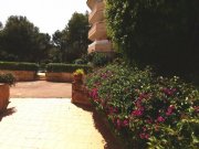 Paguera Schöne Wohnung strandnah in Paguera zu verkaufen! Wohnung kaufen