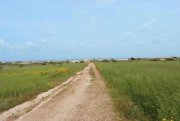 Paralimni Elevated, Sea View, plot of land measuring 6589m2 in Paralimni - LPAR171Located in an exclusive area, close to the resorts of