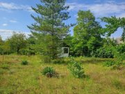 Pócsmegyer Pócsmegyer Surány, Holló utcában 693 m2-es saroktelek eladó. Villany a telken belül, a víz fúrt kútból biztosítható.