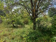 Pócsmegyer Pócsmegyer Surány, Holló utcában 693 m2-es saroktelek eladó. Villany a telken belül, a víz fúrt kútból biztosítható.