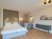 Dresden (EF0988_M) Dresden: Friedrichstadt, nagelneu möbliertes, ruhiges Apartment mit Balkon und PKW-Stellplatz, WLAN inkl. Wohnung