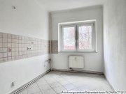 Dresden Hübsche helle 3-Zimmer-Wohnung, Wannenbad, geräumige Küche, frisch gemalert! Wohnung mieten