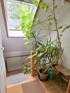 Dresden (EF0615_M) Dresden: Kleinzschachwitz, urige, möblierte 2-Zimmer-Wohnung mit Klimaanlage, ruhige grüne Wohnlage Wohnung mieten