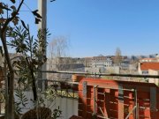 Dresden (EF1256_M) Dresden: Johannstadt-Nord, stilvoll möblierte Wohnung mit Parkett, Stuckdecken, Aufzug und, Balkon Wohnung mieten