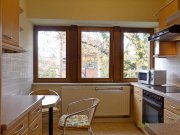 Dresden (EF0584_M) Dresden: Blasewitz, möblierte 1,5-Zimmer Wohnung zwischen Waldpark und Elbe Wohnung mieten