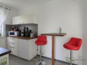 Dresden (EF1329_M) Dresden: Blasewitz, möblierte Wohnung im separatem Nebengebäude mit Sitzecke im Garten Wohnung mieten