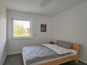 Moritzburg (EF1341_M) Dresden: Moritzburg, neu gebautes und neu möbliertes Apartment mit Terrasse und separatem Hauseingang Wohnung mieten