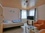 Freital (EF0946_M) Dresden: Freital, preiswertes möbliertes Apartment mit PKW-Stellplatz inklusive Wohnung mieten