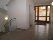 Halle (Saale) In Halle Weingärten, gemütliche 2. Zimmerwohnung mit Terrasse, Wannenbad im Erdgeschoss Wohnung mieten