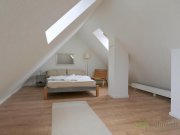 Halle (Saale) (EF1259_M) Halle: Kröllwitz, möbliertes Maissonette-Apartment mit Arbeitszimmer in ruhiger Seitenstraße Wohnung mieten