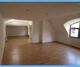 Köthen (Anhalt) Reizvolle Wohnung mit Loftcharakter ! - auch für Studenten - Wohnung mieten
