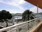 Palma de Mallorca Exklusive Wohnung direkt am Paseo Maritimo Wohnung mieten