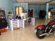 Manacor Top eingeführter Harley Davidson Verkauf & Verleih zum Traspasso Gewerbe mieten