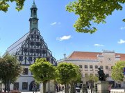Zwickau Ab 1.11.! Charmante 2-Raumwohnung mit Balkon & Stpl. in Zwickauer Innenstadtlage! Wohnung mieten