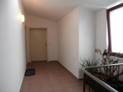 Zwickau Ab 1.3.26! Schöne 2-Raumwohnung mit Balkon im Zwickauer Zentrum! Wohnung mieten