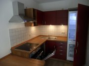 Zwickau Ab 1.8.26! Gemütliche 2-Raumwohnung mit Balkon, EBK; Nähe Schlobigpark! Wohnung mieten