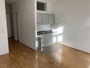 Zwickau Ab 1.9.26! Schöne 1,5-Raumwohnung im Zwickauer Zentrum! Wohnung mieten