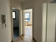 Zwickau Schöne Wohnung in Marienthal, beliebte Lage, Laminat, Stellplätze vor dem Haus und EBK Wohnung mieten