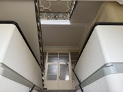 Zwickau Repräsentatives Wohnen oder Arbeiten auf 200 m² in Fabrikantenvilla - Sanierung nach Wunsch! Wohnung mieten