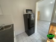 Plauen Wunderschöne renovierte Wohnung inkl. Einbauküche und teilmöbliert Wohnung mieten