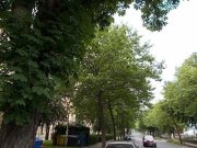 Chemnitz Gemütliche und vollmöblierte DG 3-Zi. mit Laminat, EBK und Wannenbad in Chemnitzer Toplage! Wohnung mieten