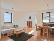 Chemnitz (EF1364_M) Chemnitz: Reichenbrand, neu renovierte und neu möblierte Wohnung mit TG-Stellplatz und Terrasse Wohnung mieten