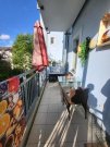 Chemnitz Gemütliche 3-Zi mit Balkon, Wanne, EBK und Laminat in zentraler Lage! Wohnung mieten