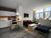 Oberlungwitz (EF1087_M) Zwickau: Oberlungwitz, luxuriöses möbliertes Apartment in einem ehem. Fabrikgebäude Wohnung mieten