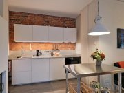 Oberlungwitz (EF1087_M) Zwickau: Oberlungwitz, luxuriöses möbliertes Apartment in einem ehem. Fabrikgebäude Wohnung mieten