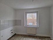 Halsbrücke 3-Raum Wohnung mit Balkon Wohnung mieten