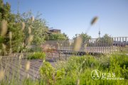 Berlin Perfekt geschnittene 3 Zimmer Wohnung mit ca. 87m², EBK und Balkon ins Grüne direkt in Mitte! Wohnung mieten