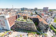 Berlin WIE EIN BAUMHAUS! Gemütliche 2 Zimmer Wohnung mit ca. 78m², EBK, Concierge und Gym in Berlin-Mitte! Wohnung mieten