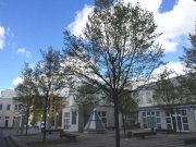 Berlin Prov.-frei: Ehemalige Zahnarztpraxis Gewerbe mieten