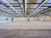 Berlin Prov.-frei: Halle mit Showroom und Büroflächen Gewerbe mieten