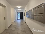 Schönefeld (Landkreis Dahme-Spreewald) 2 Zi.-Erdgeschoss-Wohnung mit Terrasse, TG-Stellplatz in Berlin Schönefeld Wohnung mieten