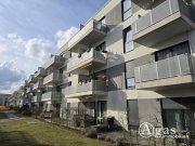 Schönefeld (Landkreis Dahme-Spreewald) 2 Zi.-Erdgeschoss-Wohnung mit Terrasse, TG-Stellplatz in Berlin Schönefeld Wohnung mieten