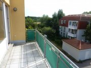 Potsdam 4 - Zimmer in ruhiger Lage am Neuen Palais (provisionsfrei) Wohnung mieten