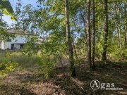 Brandenburg an der Havel großzügiges Grundstück nahe der Altstadt in Brandenburg an der Havel Grundstück mieten