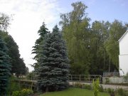 Borkheide Wohnen in ehemaliger Wassermühle - preiswert bei Hausmeistertätigkeiten Wohnung mieten