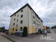 Eberswalde Gemütliche 2-Zimmer-Wohnung mit Charme in Eberswalde Wohnung mieten
