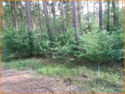 Lindow (Mark) TRÄUMEN Sie gern..... am und auf dem Wasser...... HIER Entspannen Grundstück mieten