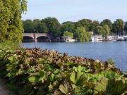 Hamburg Hamburg-Harvestehude: vollständig möblierte Wohnung in Top-Lage zu mieten Wohnung mieten