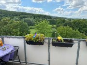 Buchholz (Landkreis Schaumburg) Gut geschnittene 3-Zimmer-Wohnung mit Balkon Wohnung mieten